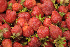 Клубника <br />Strawberries