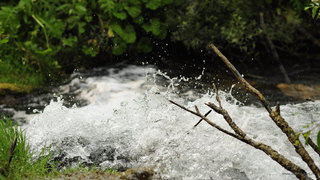 Танец воды <br />Dancing Water