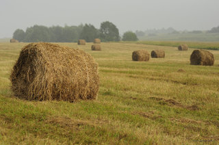 Сено в катушках <br />Hay In Rolls