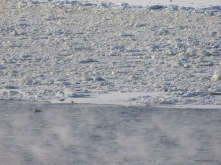 Кажется, мы в Арктике <br />Looks Like We Are In The Arctic