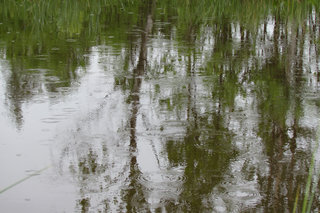 Дождь <br />Rainy Day