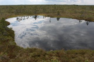 Озерки — вид с крыши <br />Lakelet — View From The Roof